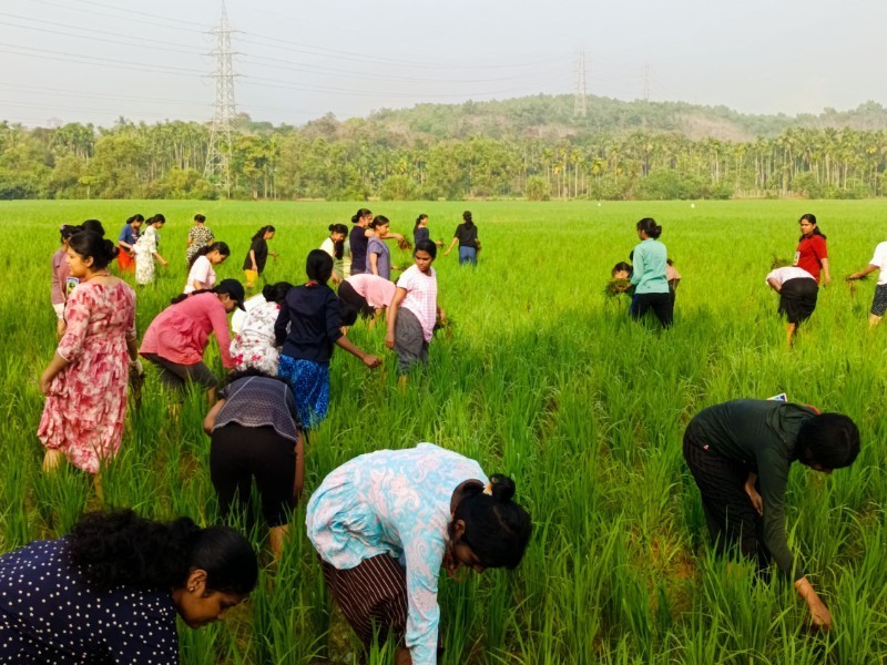 Activity Image 1